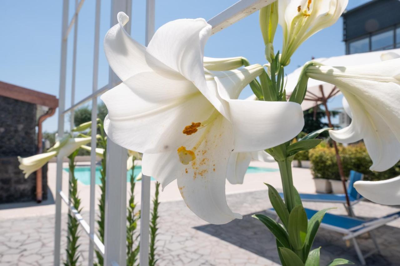 Lux Suite Sicily Mascalucia Buitenkant foto